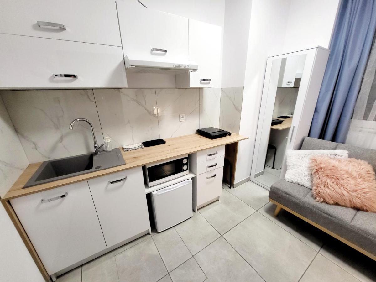 Mini Apartamenty 波兹南 外观 照片